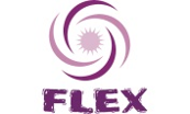 FLEX SERVICES